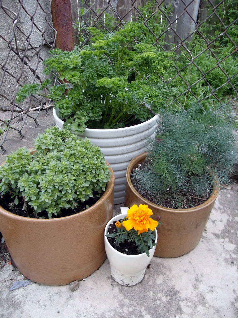 Jardinier tondant une pelouse verte dans un jardin entretenu